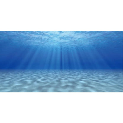 48x24 Inch Ocean Floor Undersea Aquarium