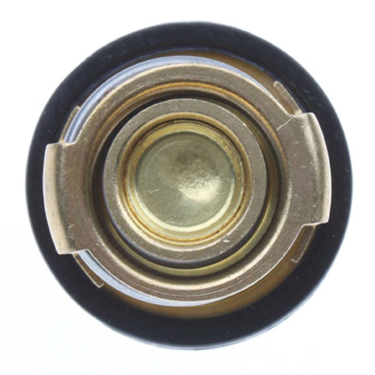 Thermostat Unit for CFMoto CF250 Maxi-Scooter (F039-029)