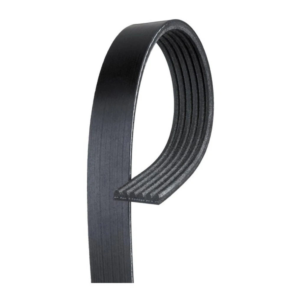 V-Ribbed Serpentine Belt for Suzuki Reno (2005–2008) OLX-ACD6K744-CL360A58