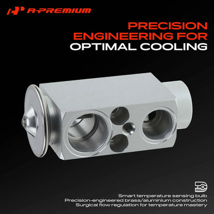 A/C Expansion Valve for Ford Focus (2012–2014) AV6N19849BA, CV6Z19849A, EX529491C