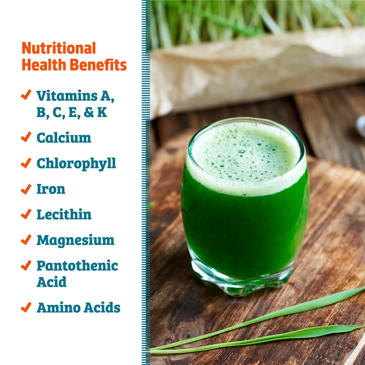1 Pound Organic Wheatgrass Seeds for Health Benefits (No Part Numbers)