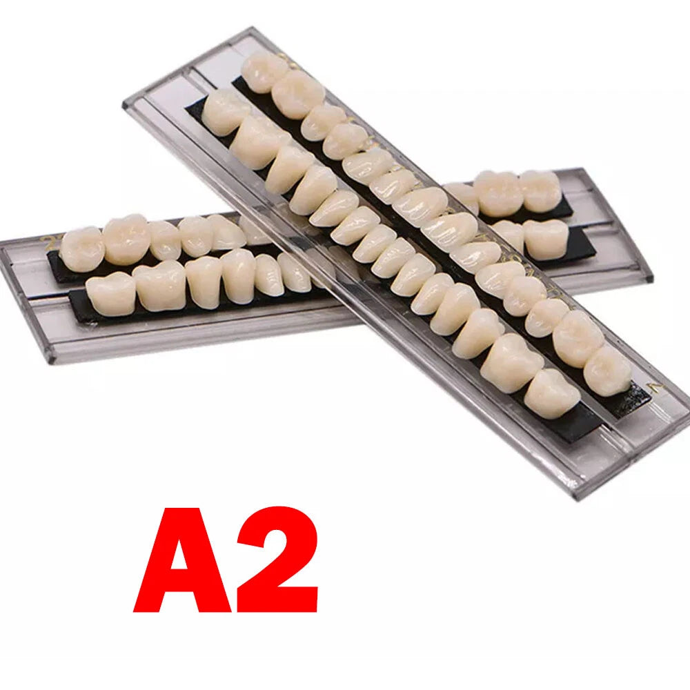 Set of 150 Denture Teeth Upper Lower A2 Acrylic Resin