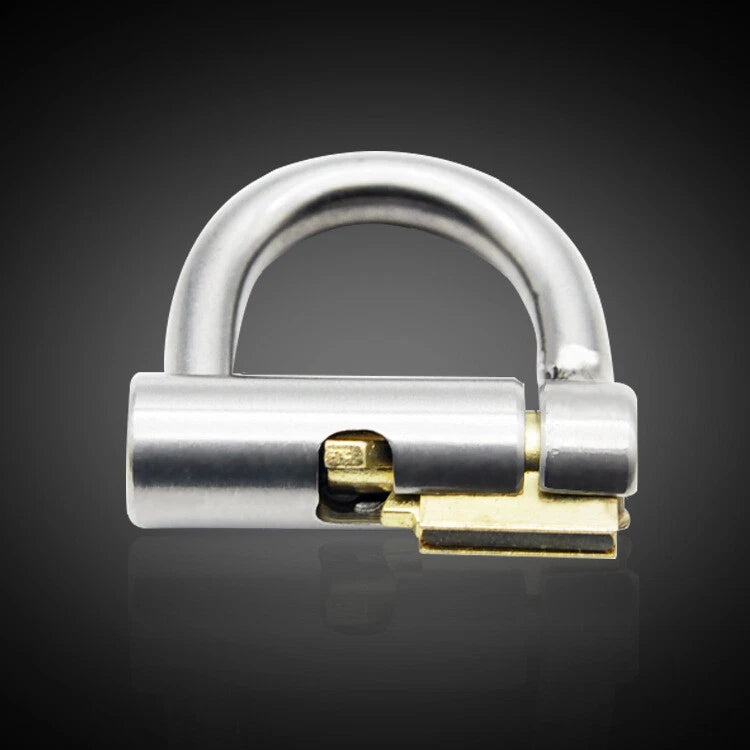 Stainless Steel Chastity Lock for Adult Use