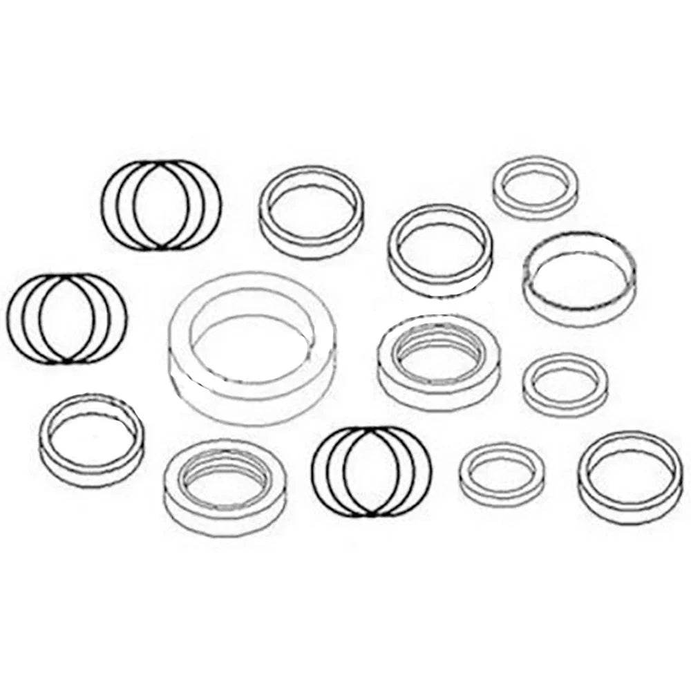 Hydraulic Grapple Cylinder Seal Kit for Gehl Loader HL2600 (064300)