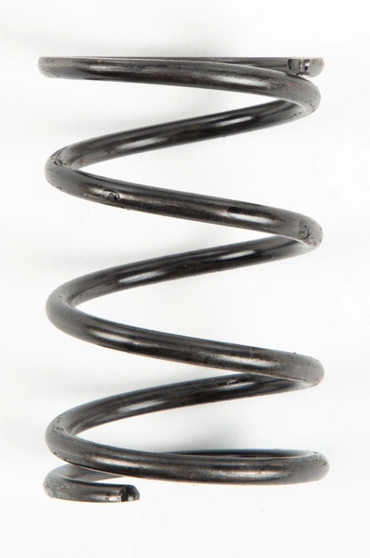 Clutch Spring for (204115A)