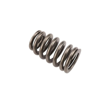 Valve Spring for Hummer H2 (2003–2009) OLX-ACD12706568-CL360A81