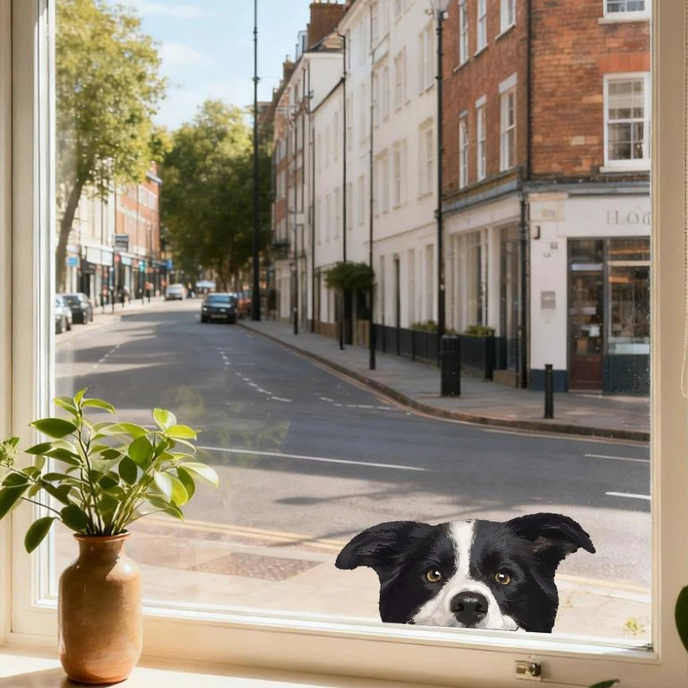 Waterproof Border Collie Stickers for Luggage & Car Windows