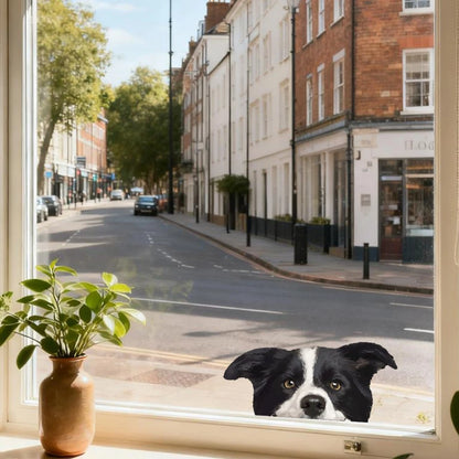 Waterproof Border Collie Stickers for Luggage & Car Windows