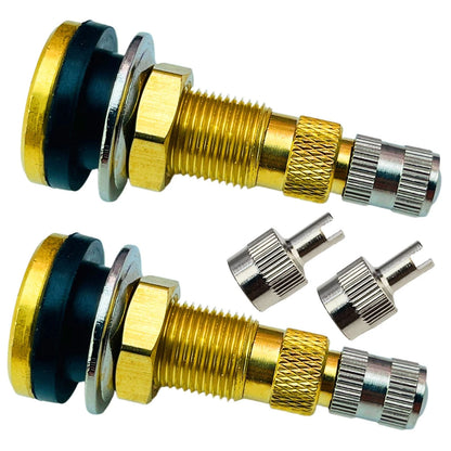 2X TR618A Tire Valve Stems for Tractor (Tubeless Air Liquid)