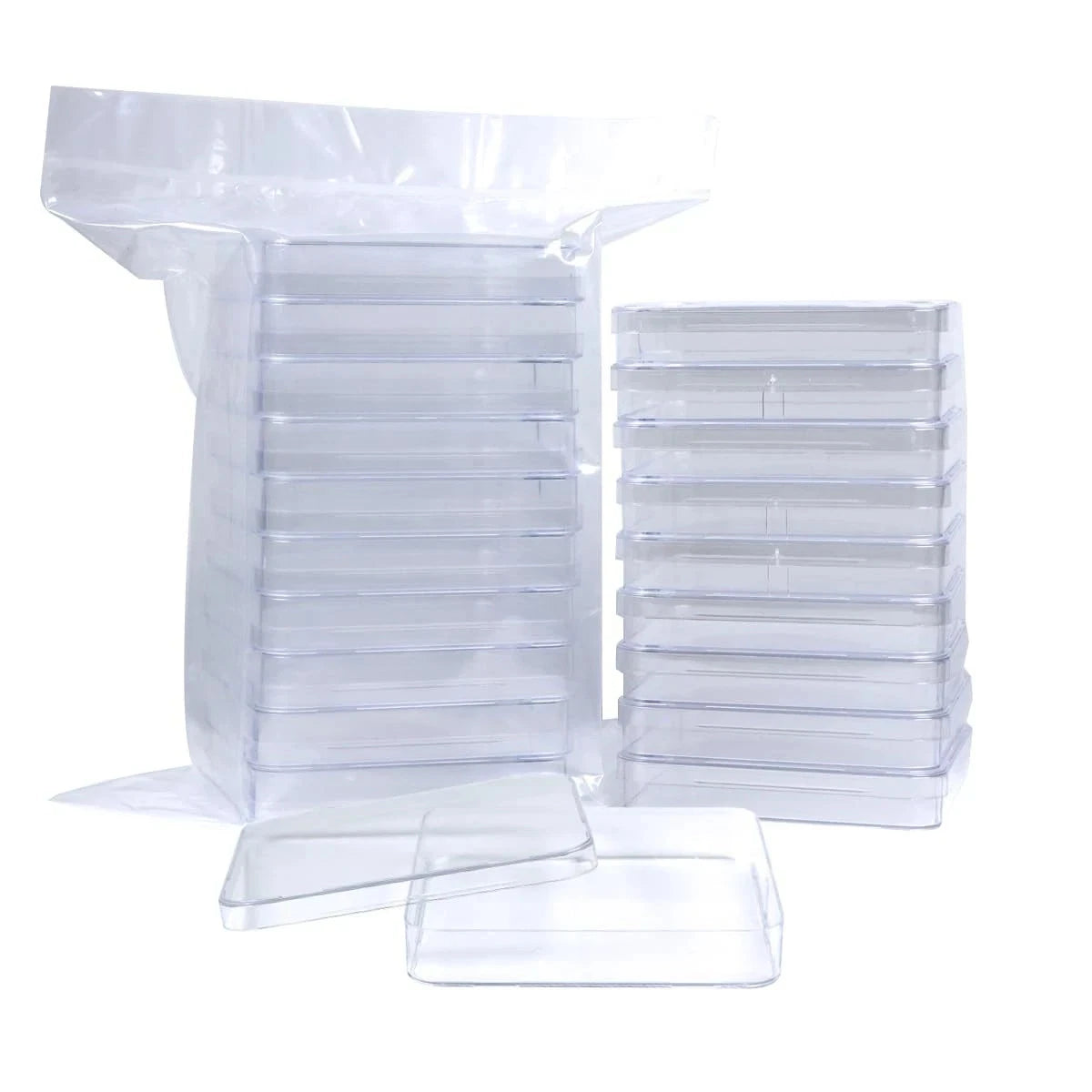 10 Pack Sterile Thick Plastic Petri Dishes with Lid 10cm x 10cm