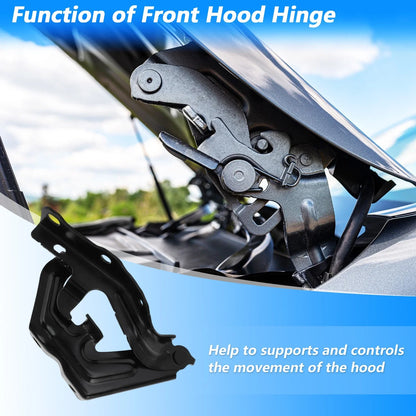 Front Hood Hinge Set for Toyota Camry (2015–2017) No. 5341006320/5342006320