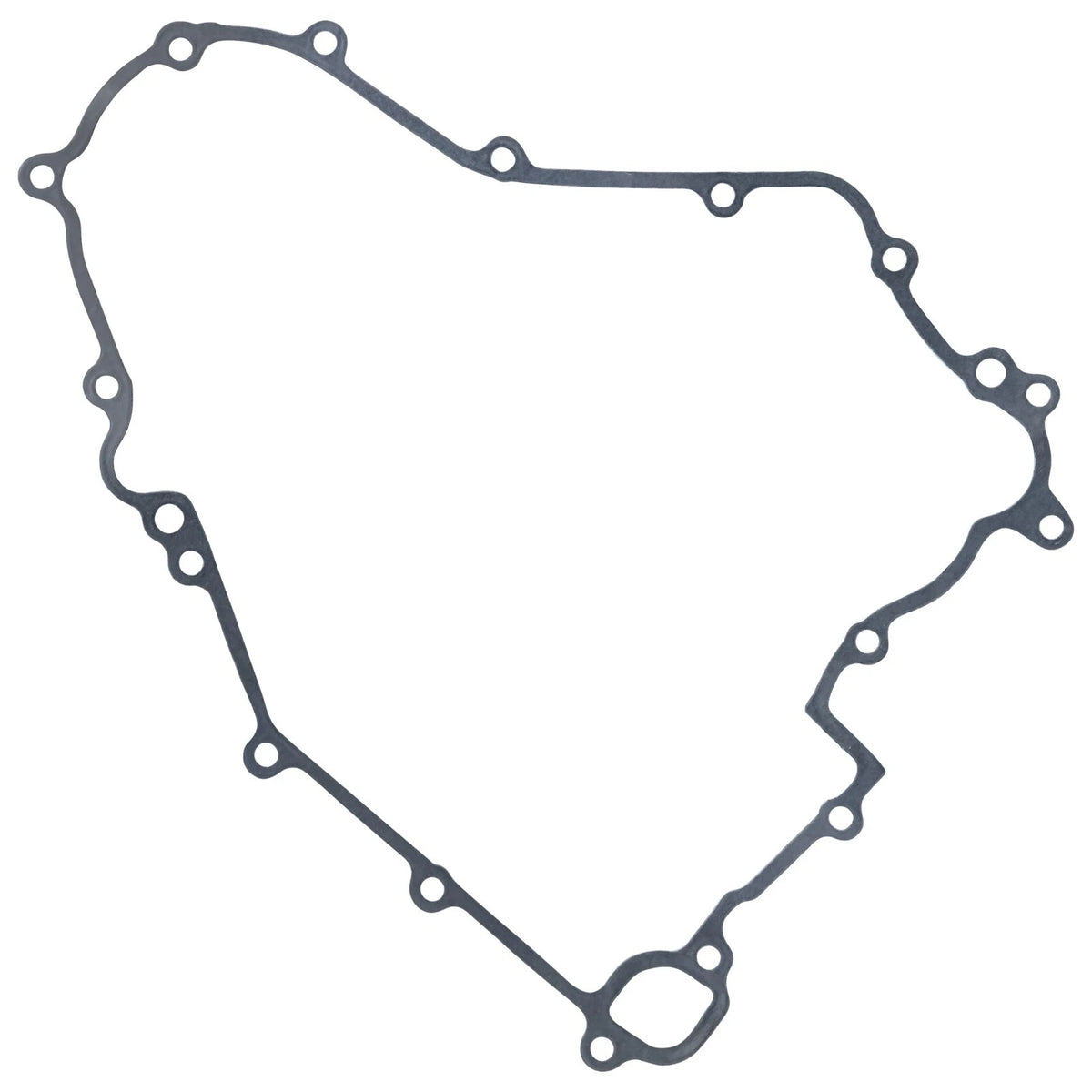 Stator Gasket for Kawasaki Teryx 4 750 (2012–2013) GT424 - LAR