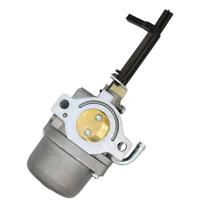 Carburetor for BS (No Part Numbers)
