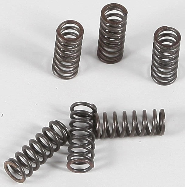 Clutch Spring Set for EBC CSK39