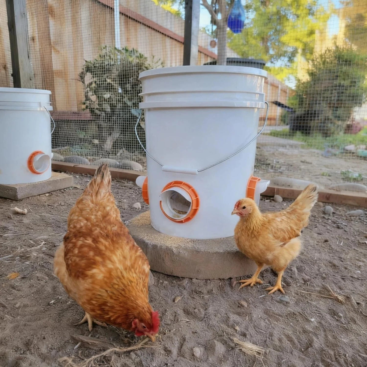 DIY Chicken Feeder No Waste for Poultry (Automatic, 8 Ports)