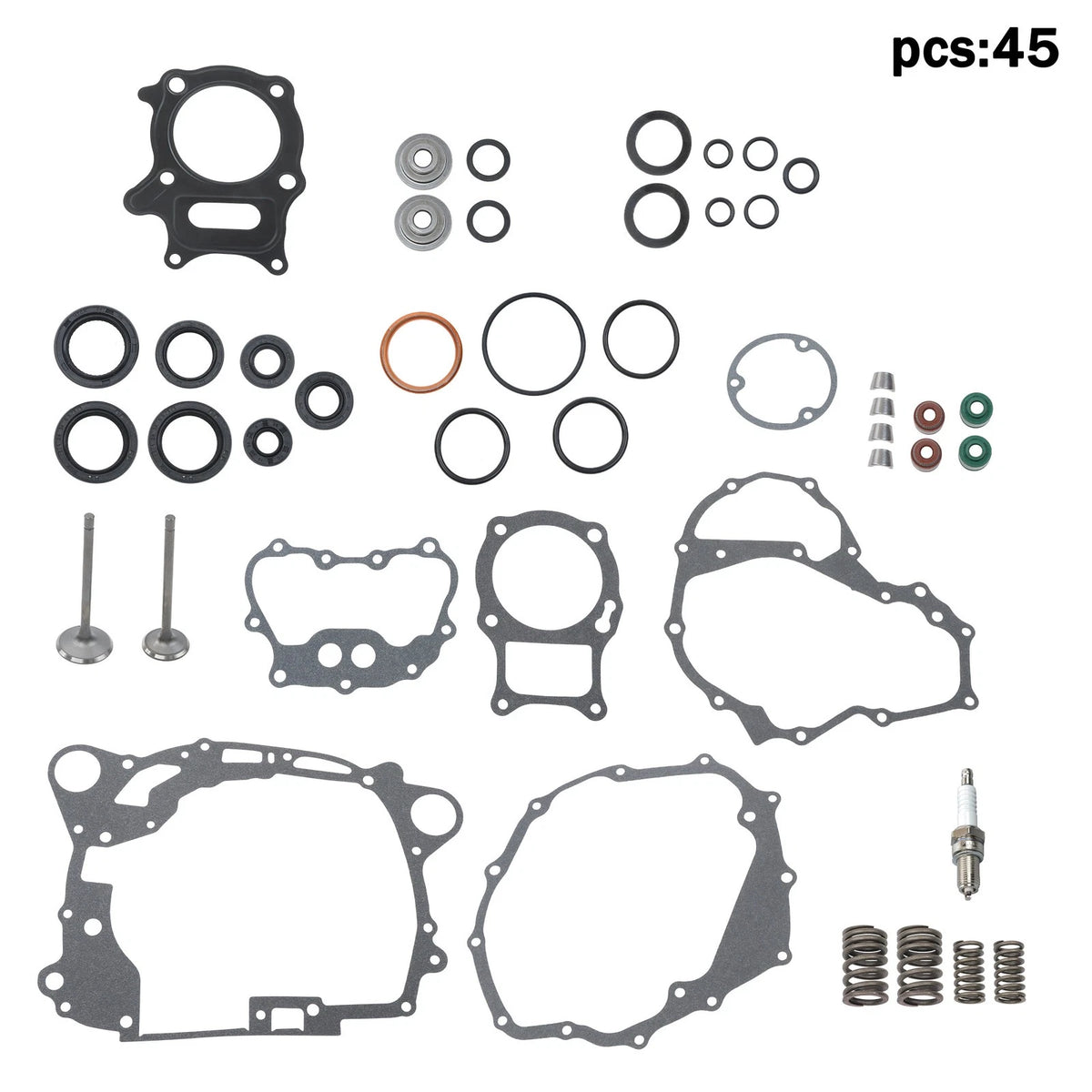 Valve Kit for Honda Recon 250 TRX250 2x4 (2002–2018)