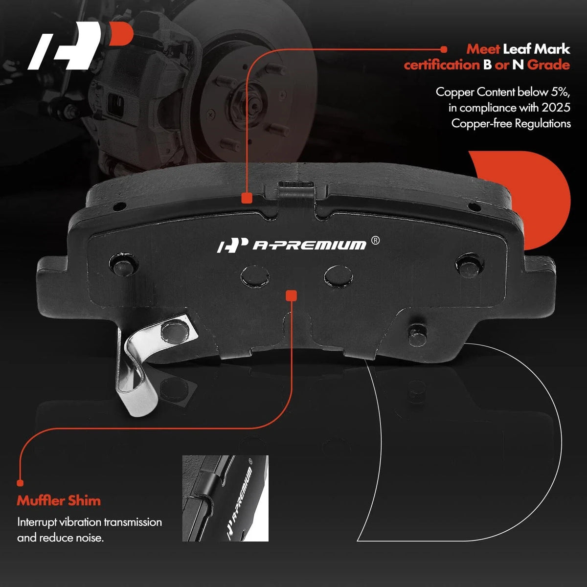 Rear Disc Brake Rotor & Pad Set for Hyundai Elantra Kia Forte