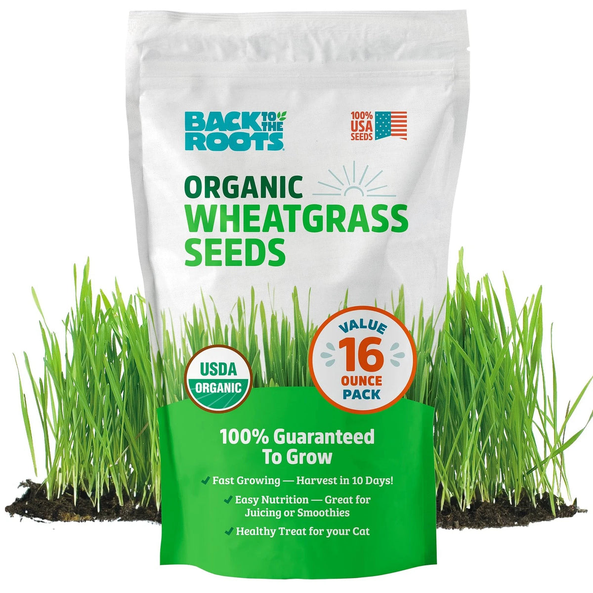 1 Pound Organic Wheatgrass Seeds for Health Benefits (No Part Numbers)