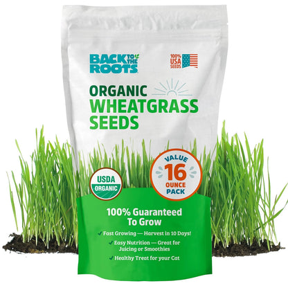 1 Pound Organic Wheatgrass Seeds for Health Benefits (No Part Numbers)