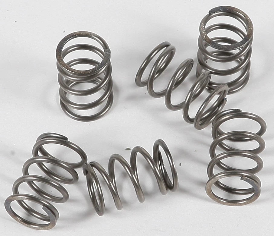 Clutch Spring Set for EBC CSK197