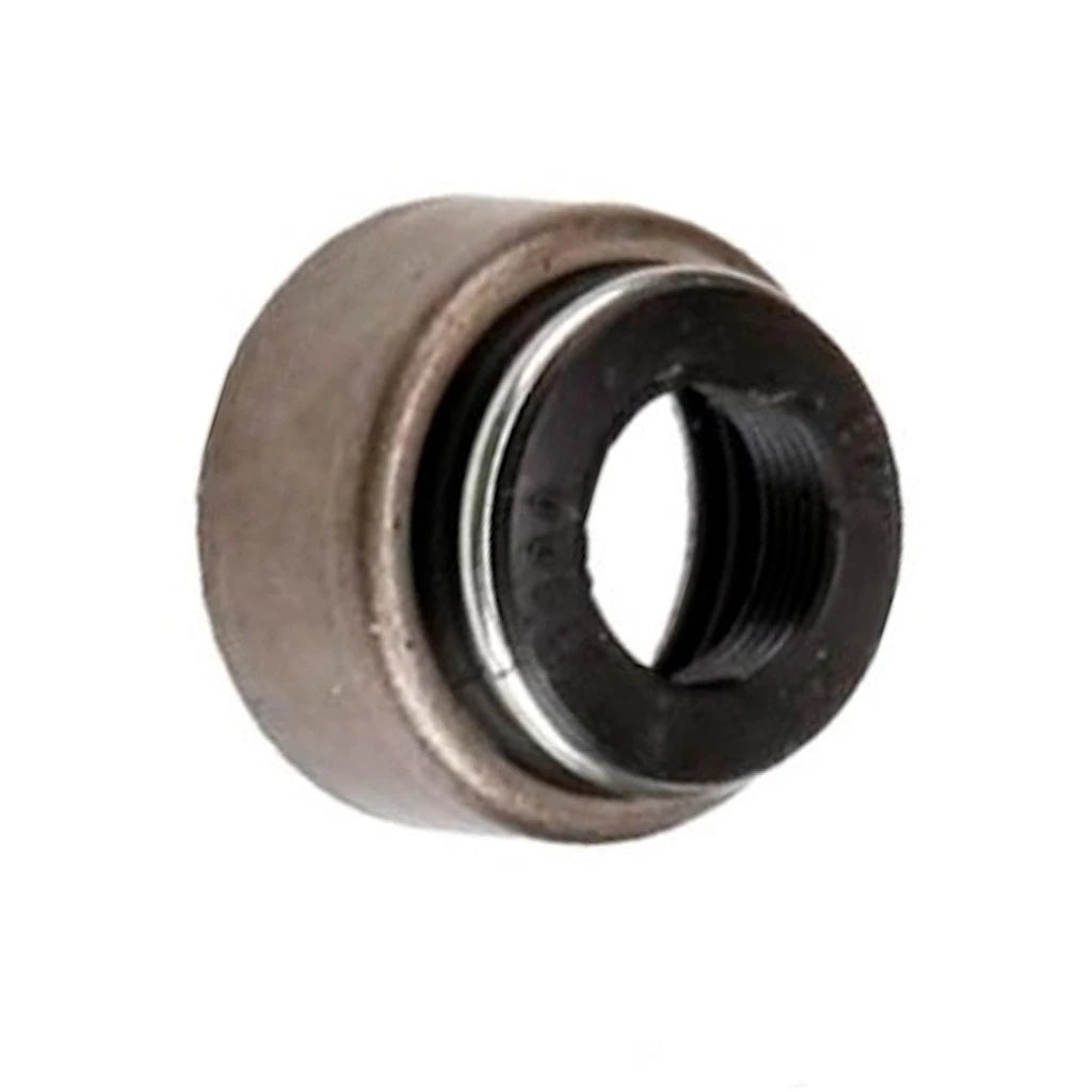 Valve Stem Oil Seal for Chevy Express 1500/2500/3500 (2001–2002) OLX-ACD12555601-CL360A55