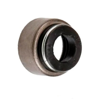 Valve Stem Oil Seal for Chevy Express 1500/2500/3500 (2001–2002) OLX-ACD12555601-CL360A55