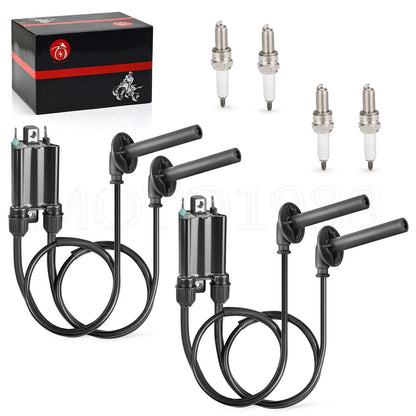 2 Ignition Coils & Spark Plugs for Honda ST1100 (1991–2003)
