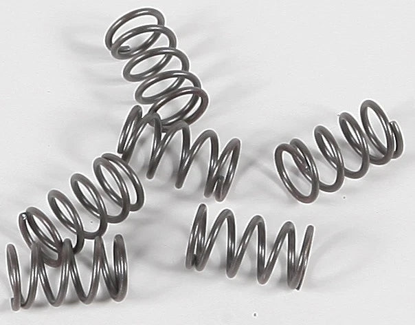 Clutch Spring Kit for EBC CSK40 (Clutch Springs Set)