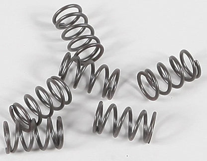 Clutch Spring Kit for EBC CSK40 (Clutch Springs Set)