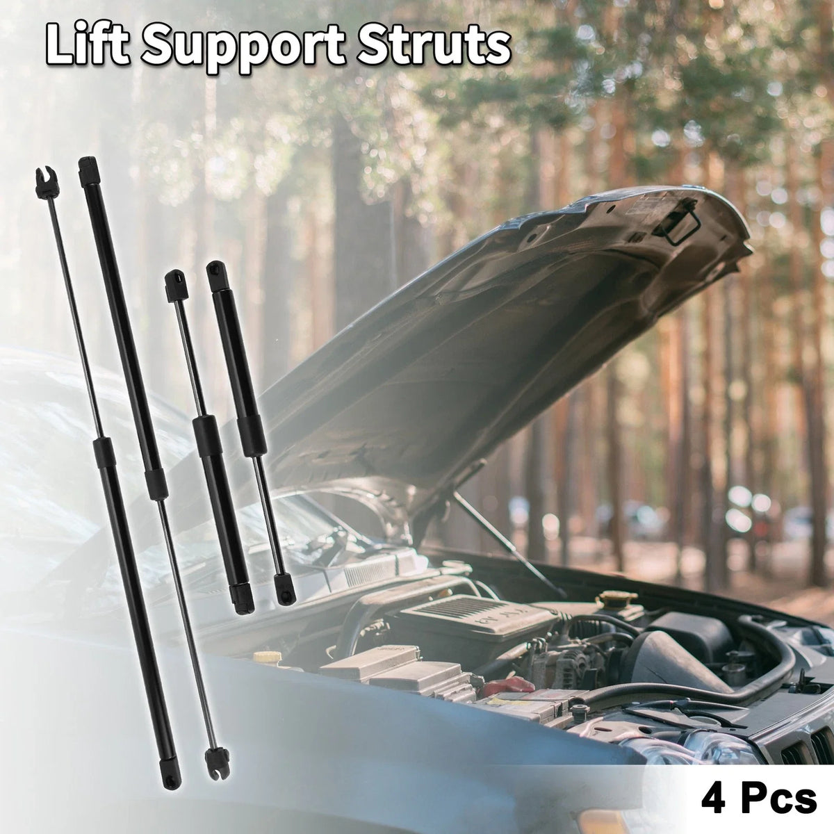 Set of 2 Front Hood & Tailgate Lift Supports Struts for Dodge Intrepid (1998–2004)