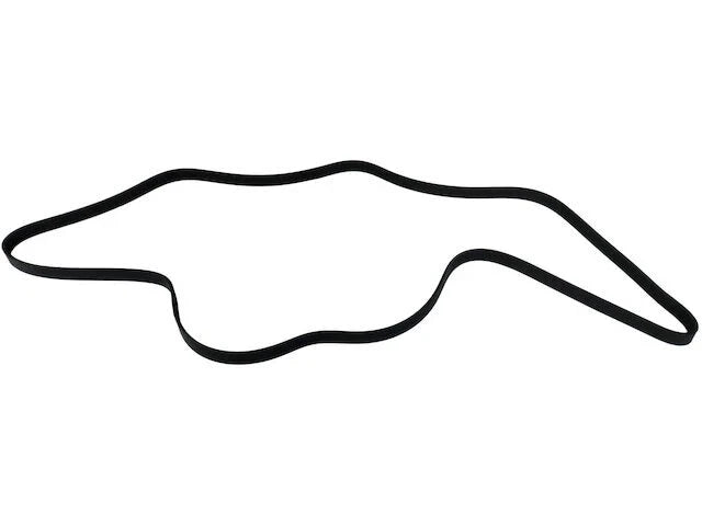 Accessory Drive Multi Rib Belt for Jaguar XJR575 (2018–2019) SG441KQ