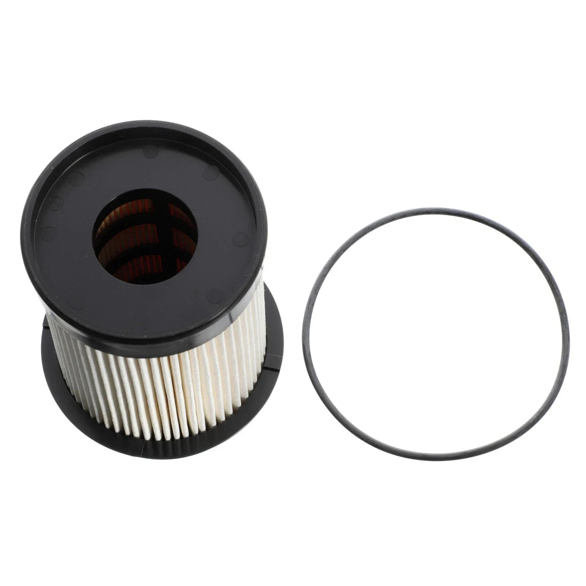 Fuel Filter for 6.7L Turbo Diesel (PF9870, P551115)
