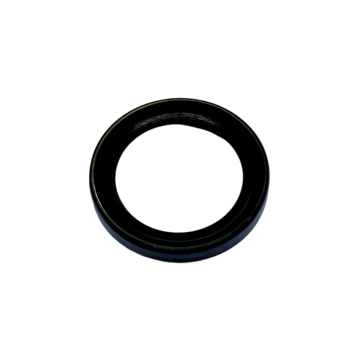 Seal for Scag (481024)