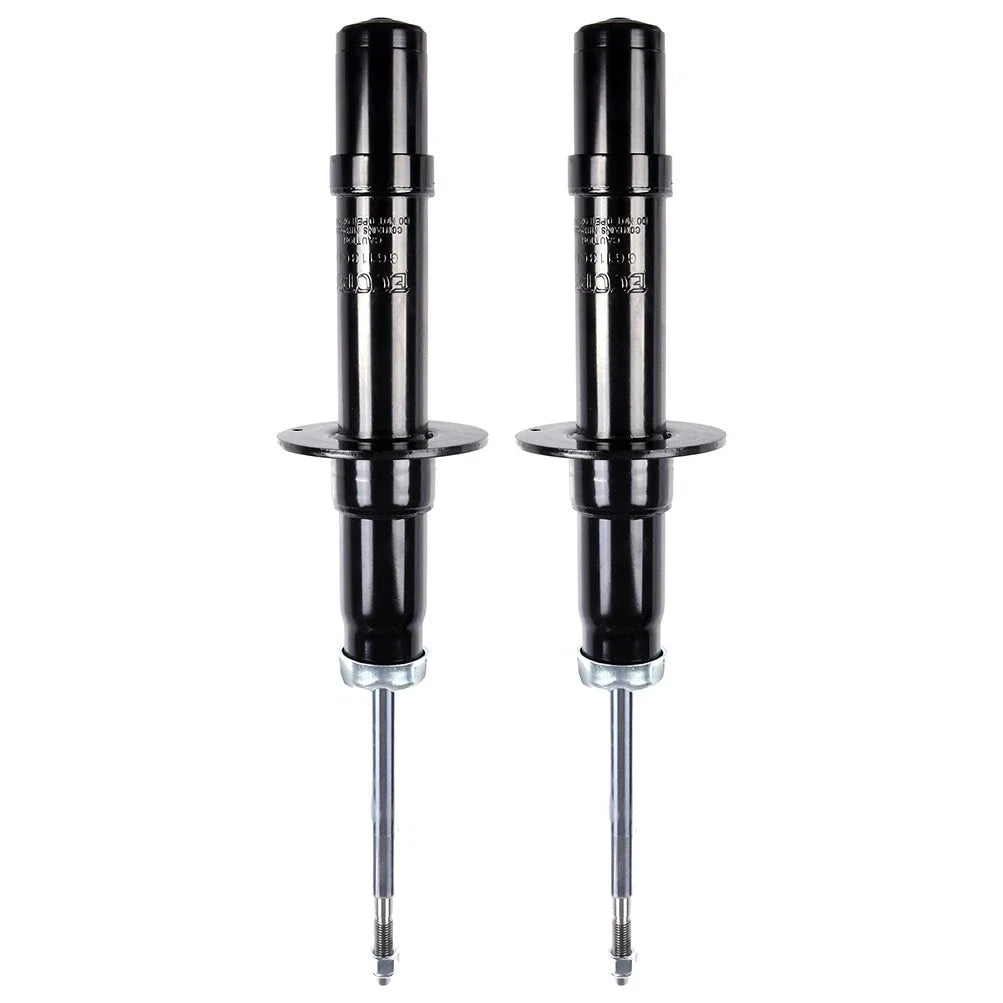 2X Front Struts for Chrysler 300 Dodge Charger (2005–2010)