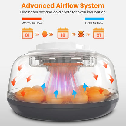 18 Egg Automatic Incubator for Chicken Hatching (2018–2023)