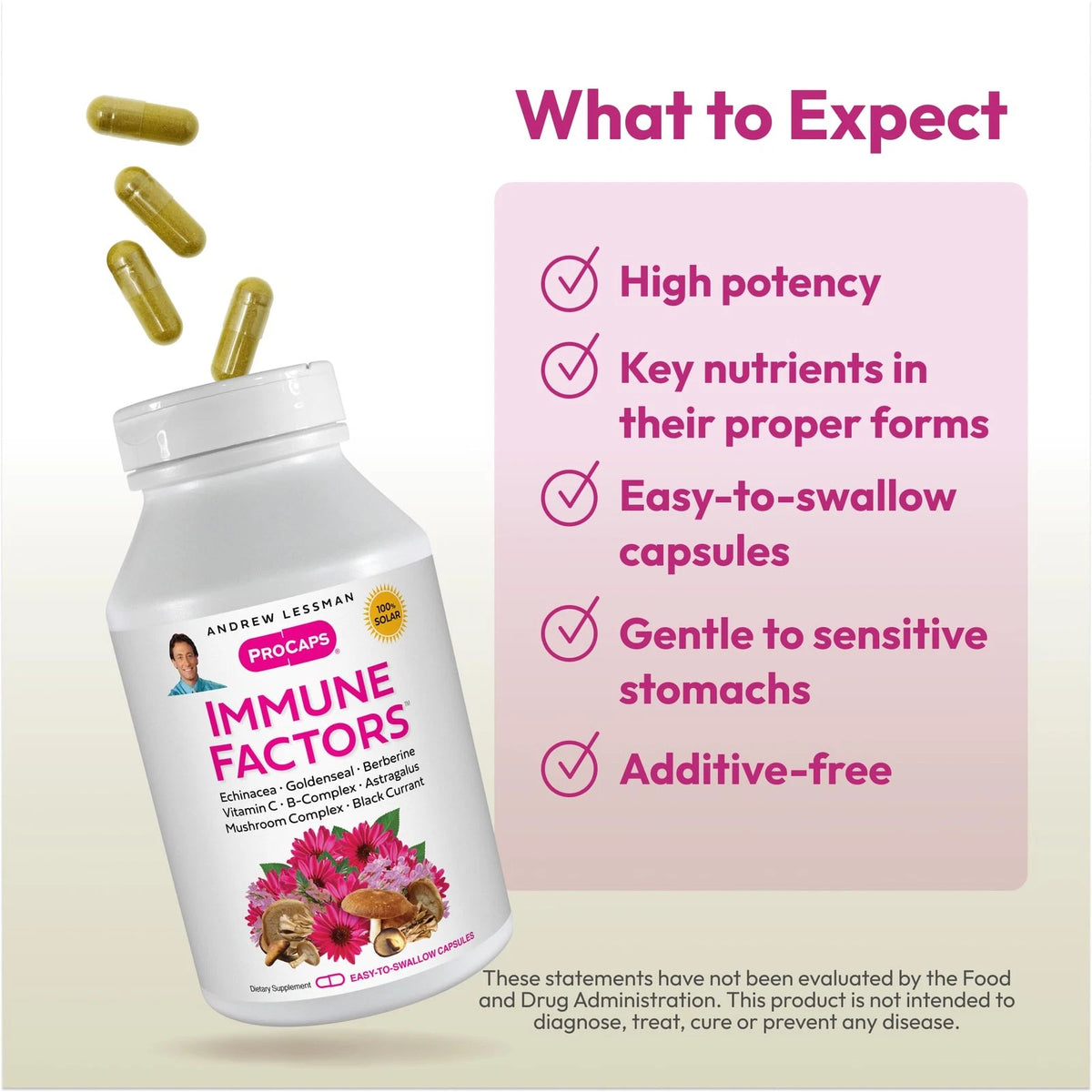 Immune Factors Echinacea 60 Capsules for Health Support (Pack of 1)