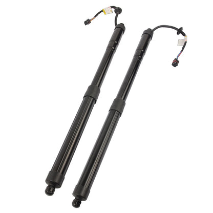 2Pcs Tailgate Lift Support for Hyundai Santa Fe (2013–2019)