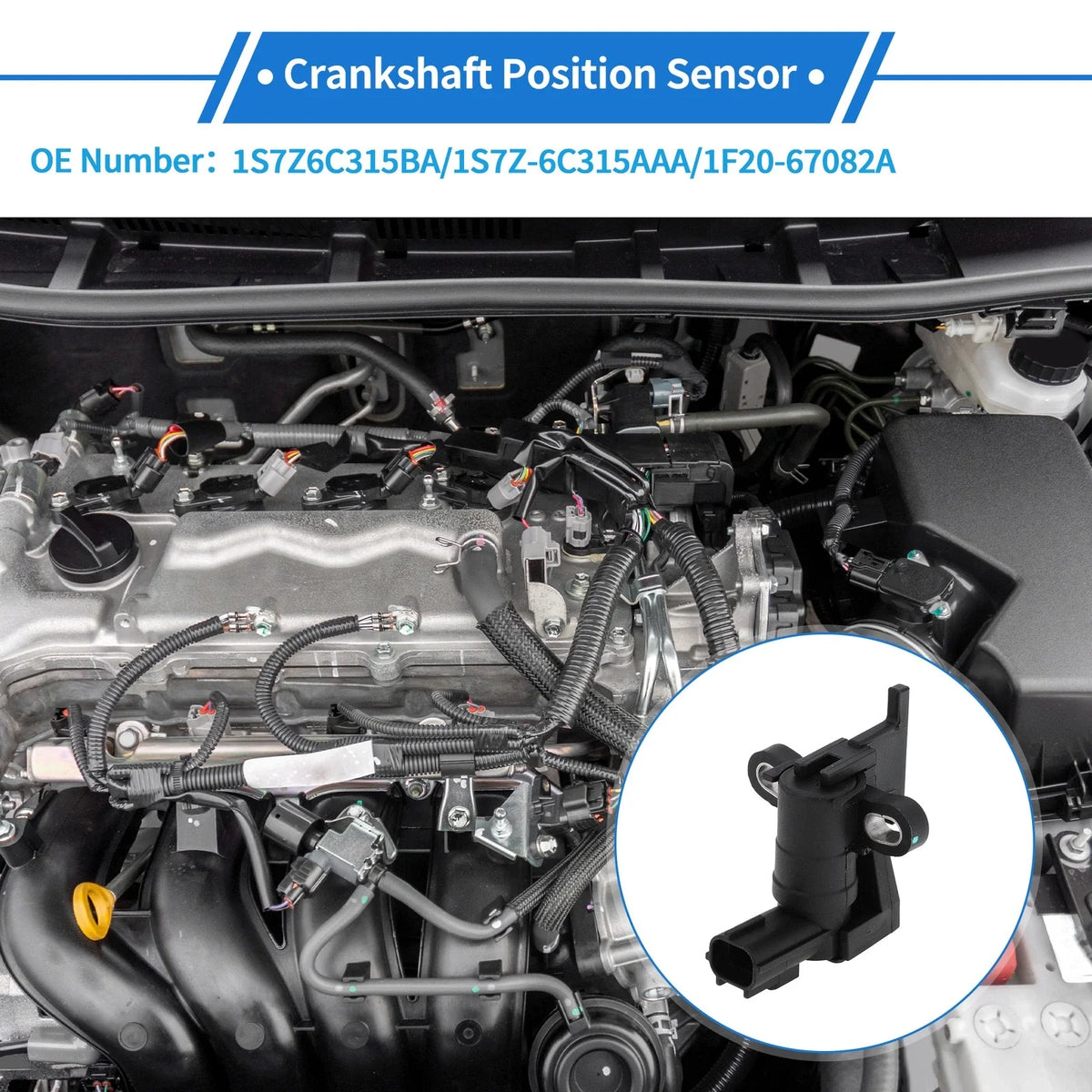 Crankshaft Position Sensor for Ford Escape (2005–2008) 1S7Z6C315BA