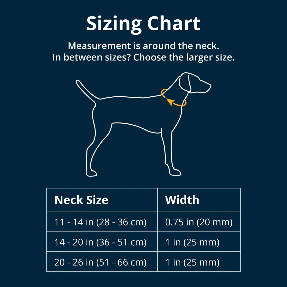 Adjustable Reflective Martingale Dog Collar for Chain Reaction