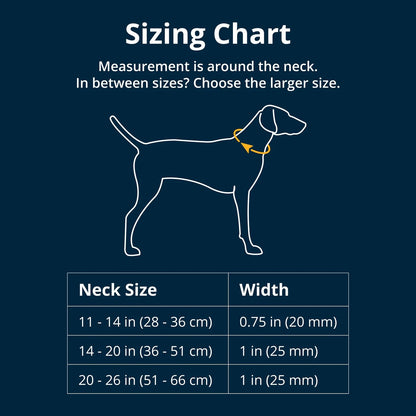 Adjustable Reflective Martingale Dog Collar for Chain Reaction