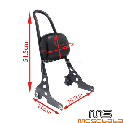 Detachable Sissy Bar for Harley Sportster XL1200 XL883 (2004-2019)