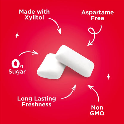 PUR Gum Aspartame Free Chewing Gum Natural Cinnamon (100% Xylitol)