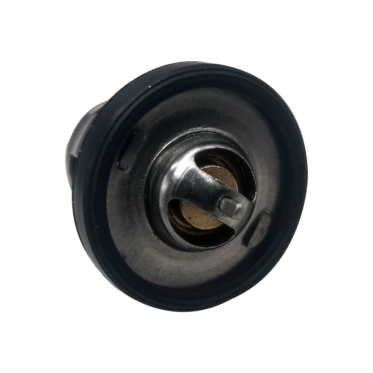 Thermostat 5033385 for Johnson Evinrude OMC 2HP 4HP 5HP 6HP (18-S91J)