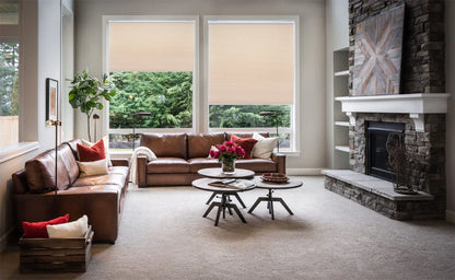 Cordless Cellular Shades Window Blind for Honeycomb Privacy (2023–2023)