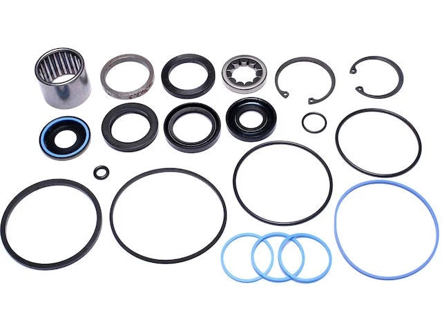 Steering Gear Rebuild Kit for Ford F100 (1972–1979) 61935NSXX