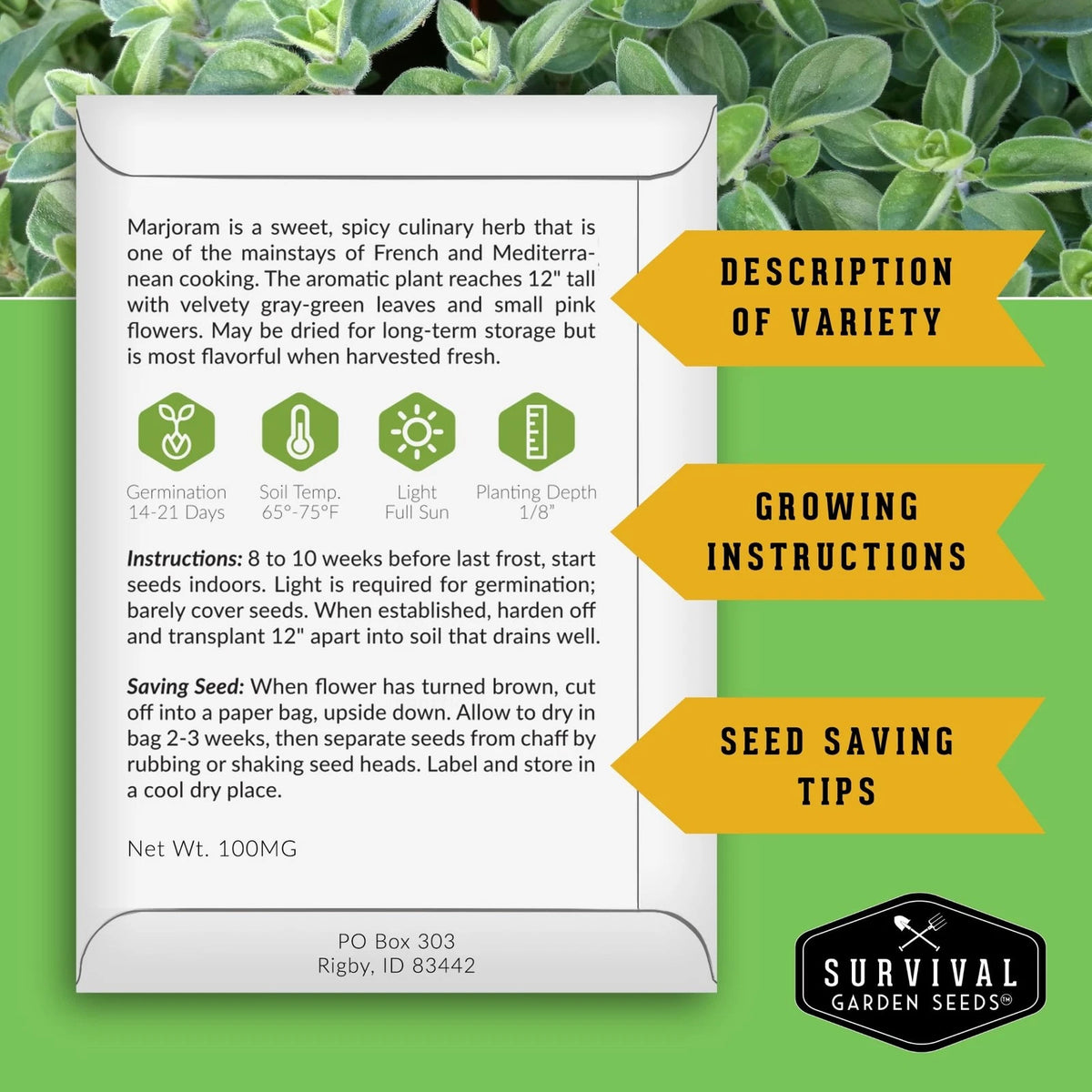 Culinary Herb Seeds Variety Pack for Planting (Heirloom)