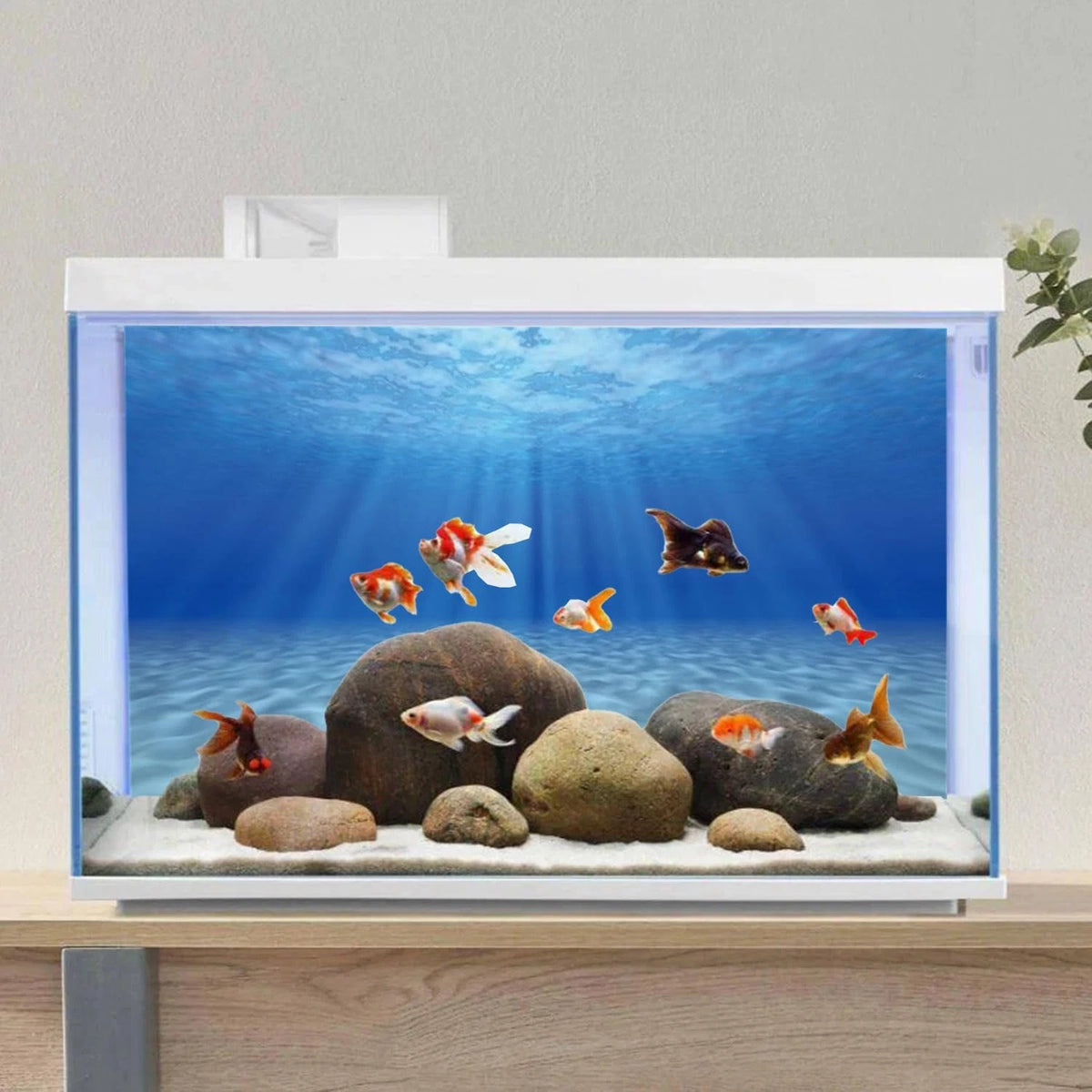 48x24 Inch Ocean Floor Undersea Aquarium