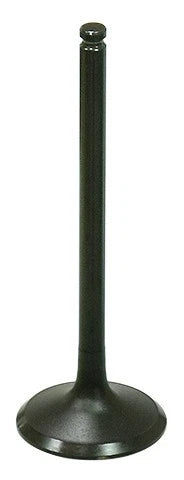 Exhaust Valves for Bronco (AU-09201E)