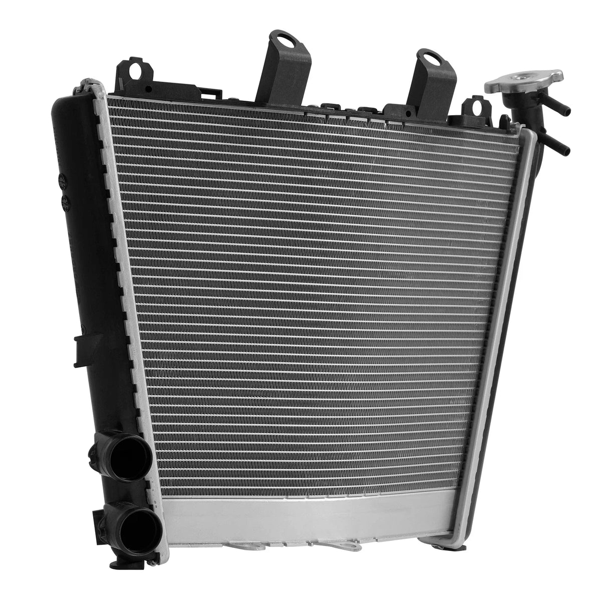 Radiator Cooler for BMW M1000RR S1000R S1000RR (2021–2025)