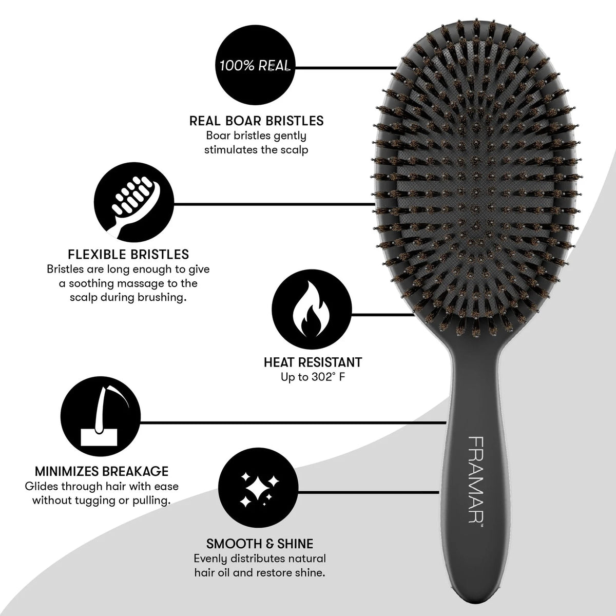 Soft Boar Bristle Hair Brush for Women